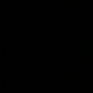 Meet your Posher, Elin